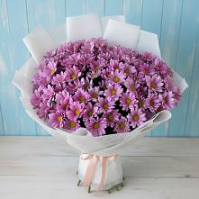 Букет цветов из:  Хризантемы #REPLACE_PRED# Новой Игирме