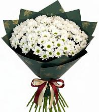 Букет цветов из:  Хризантемы #REPLACE_PRED# Новой Игирме