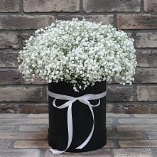 Цветочная композиция из Гипсофила в шляпной коробке #REPLACE_PRED# Новой Игирме